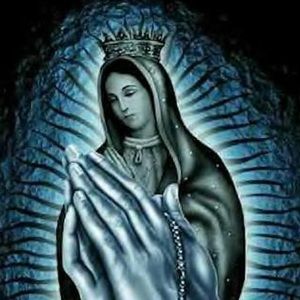 Meet your Posher, Griffin